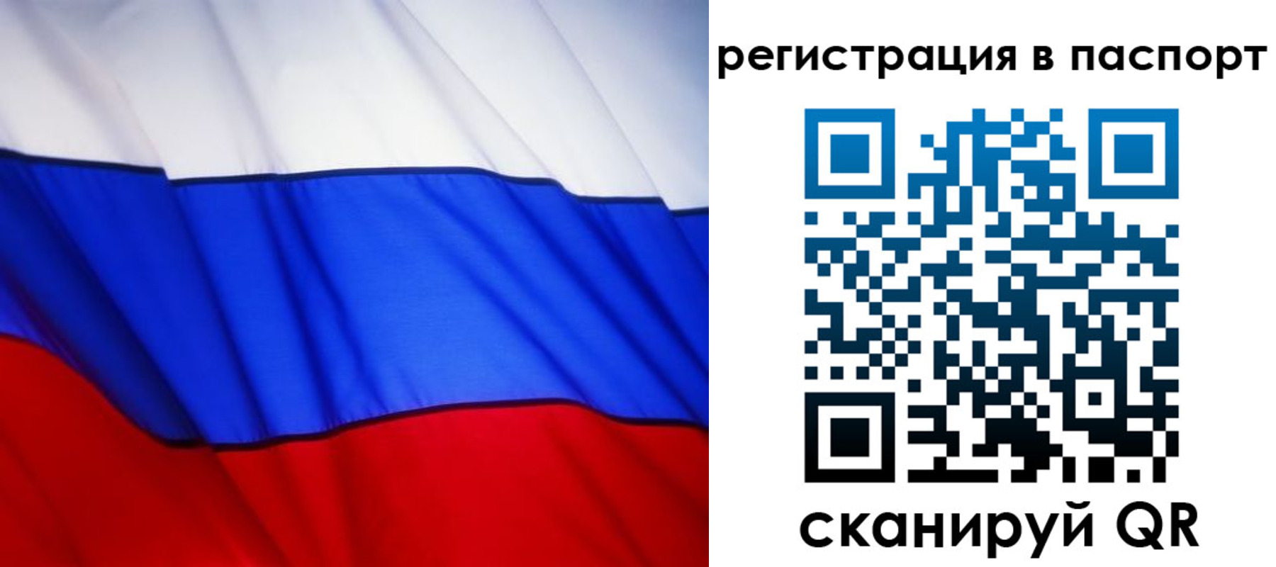 прописка 2025 в Электрогорске
